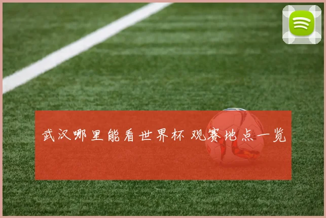 武汉哪里能看世界杯 观赛地点一览
