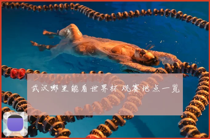 武汉哪里能看世界杯 观赛地点一览