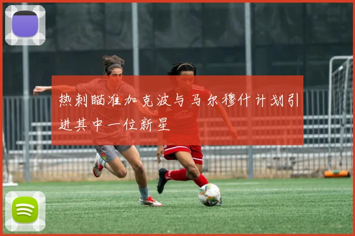 热刺瞄准加克波与马尔穆什计划引进其中一位新星