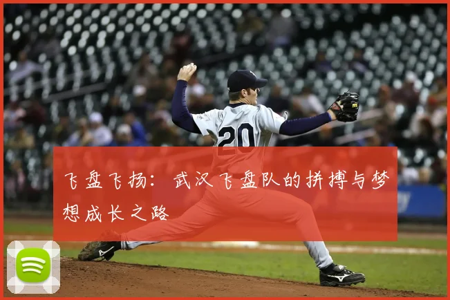 飞盘飞扬：武汉飞盘队的拼搏与梦想成长之路