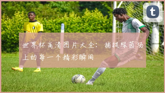 世界杯高清图片大全：捕捉绿茵场上的每一个精彩瞬间