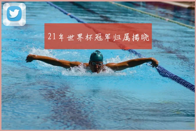 21年世界杯冠军归属揭晓