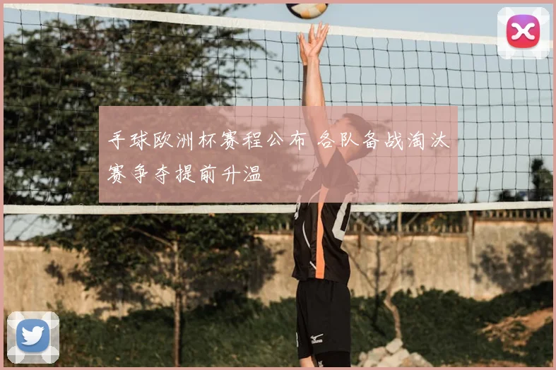 手球欧洲杯赛程公布 各队备战淘汰赛争夺提前升温