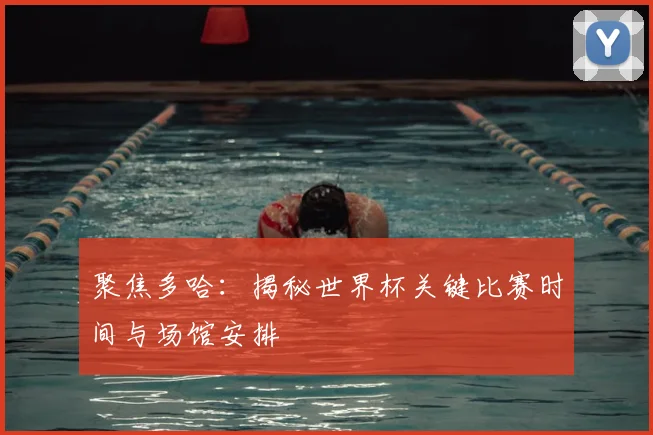 聚焦多哈：揭秘世界杯关键比赛时间与场馆安排