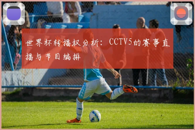 世界杯转播权分析:CCTV5的赛事直播与节目编排