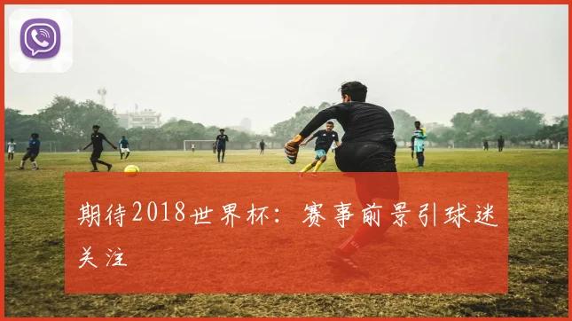 期待2018世界杯：赛事前景引球迷关注