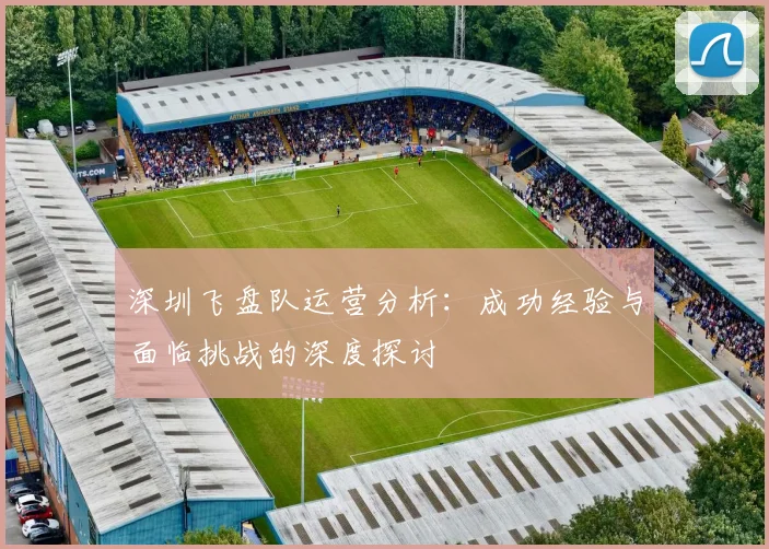 深圳飞盘队运营分析:成功经验与面临挑战的深度探讨