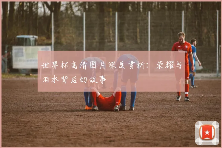 世界杯高清图片深度赏析：荣耀与泪水背后的故事