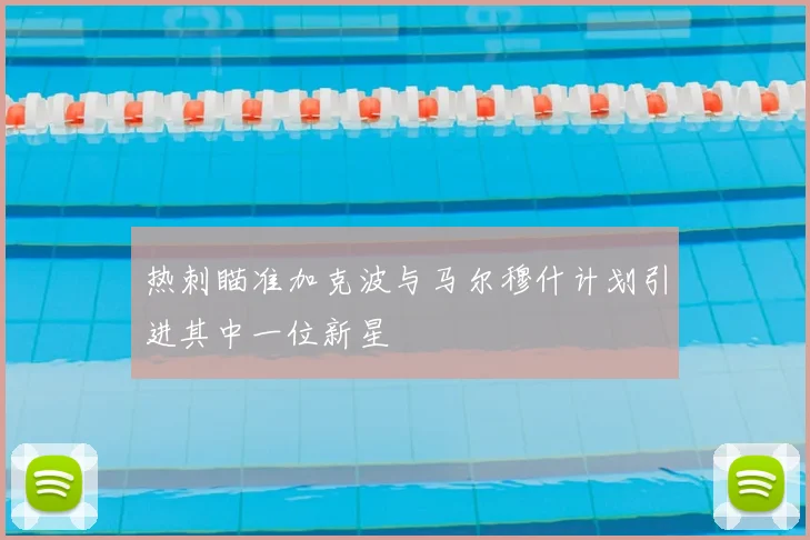 热刺瞄准加克波与马尔穆什计划引进其中一位新星