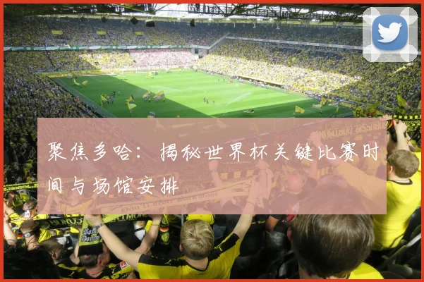 聚焦多哈：揭秘世界杯关键比赛时间与场馆安排
